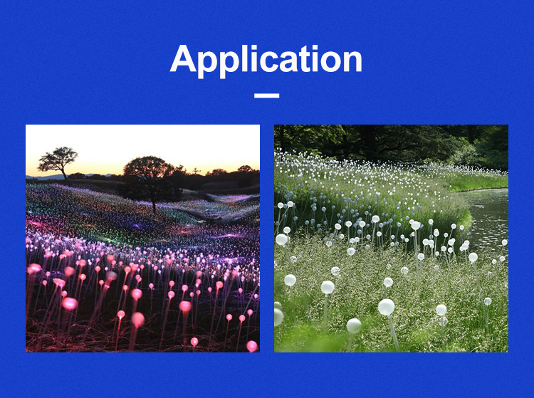 Application Diagram