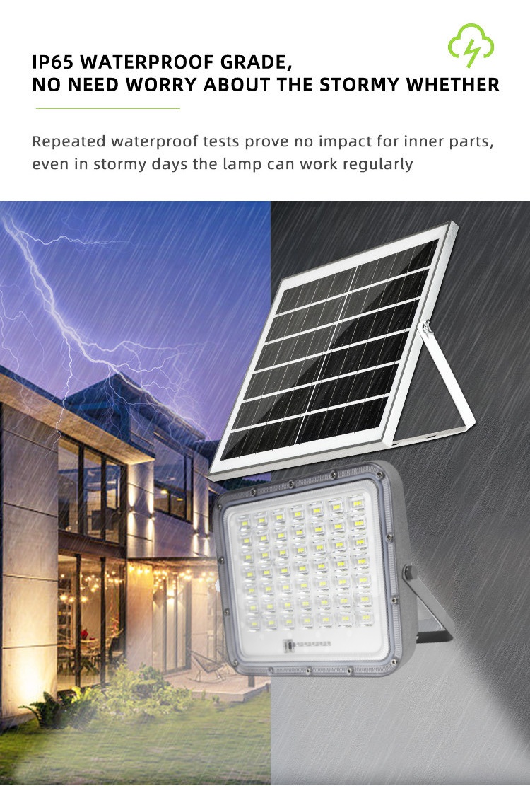 Solar Flood Light Detail 4