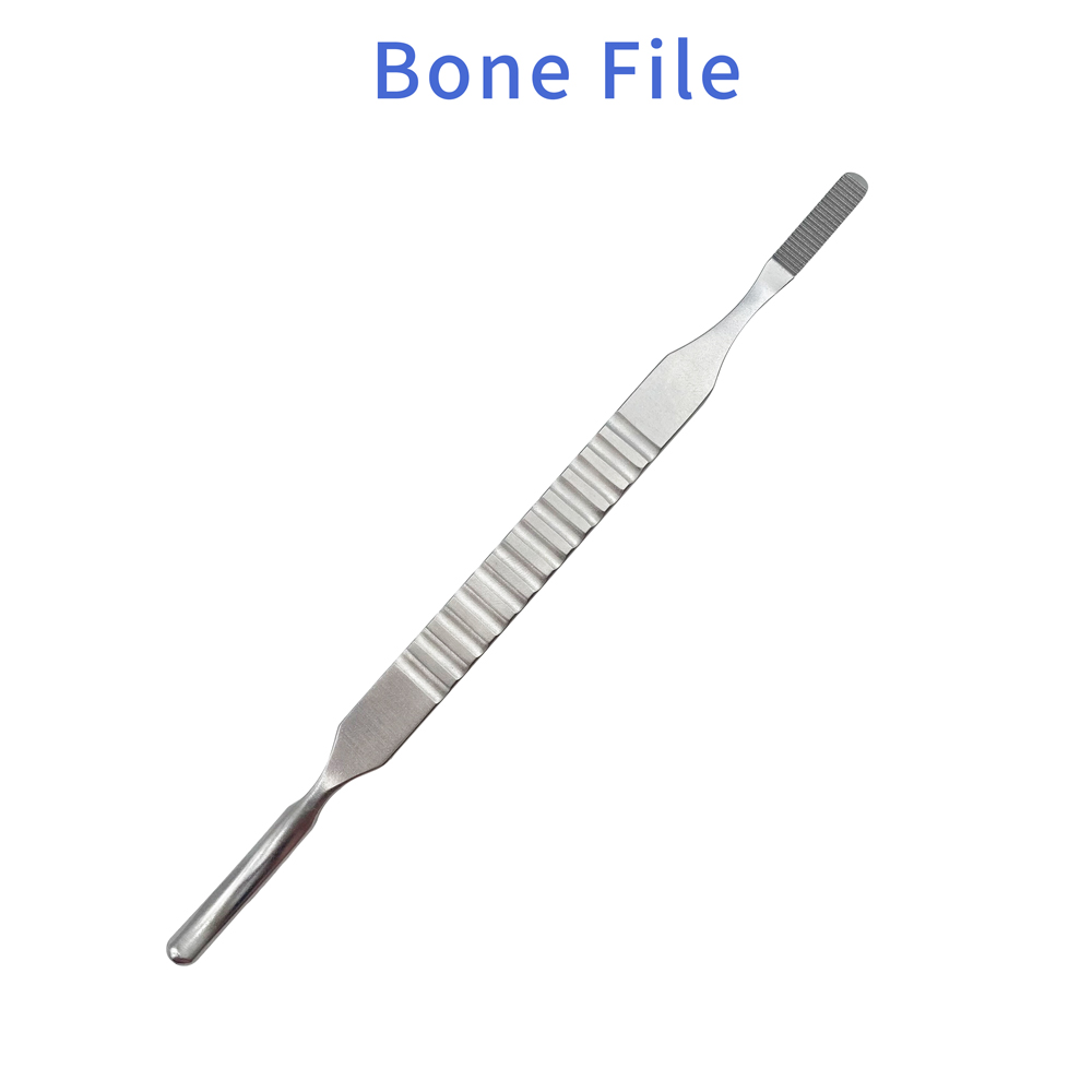 Joint Bone File 1