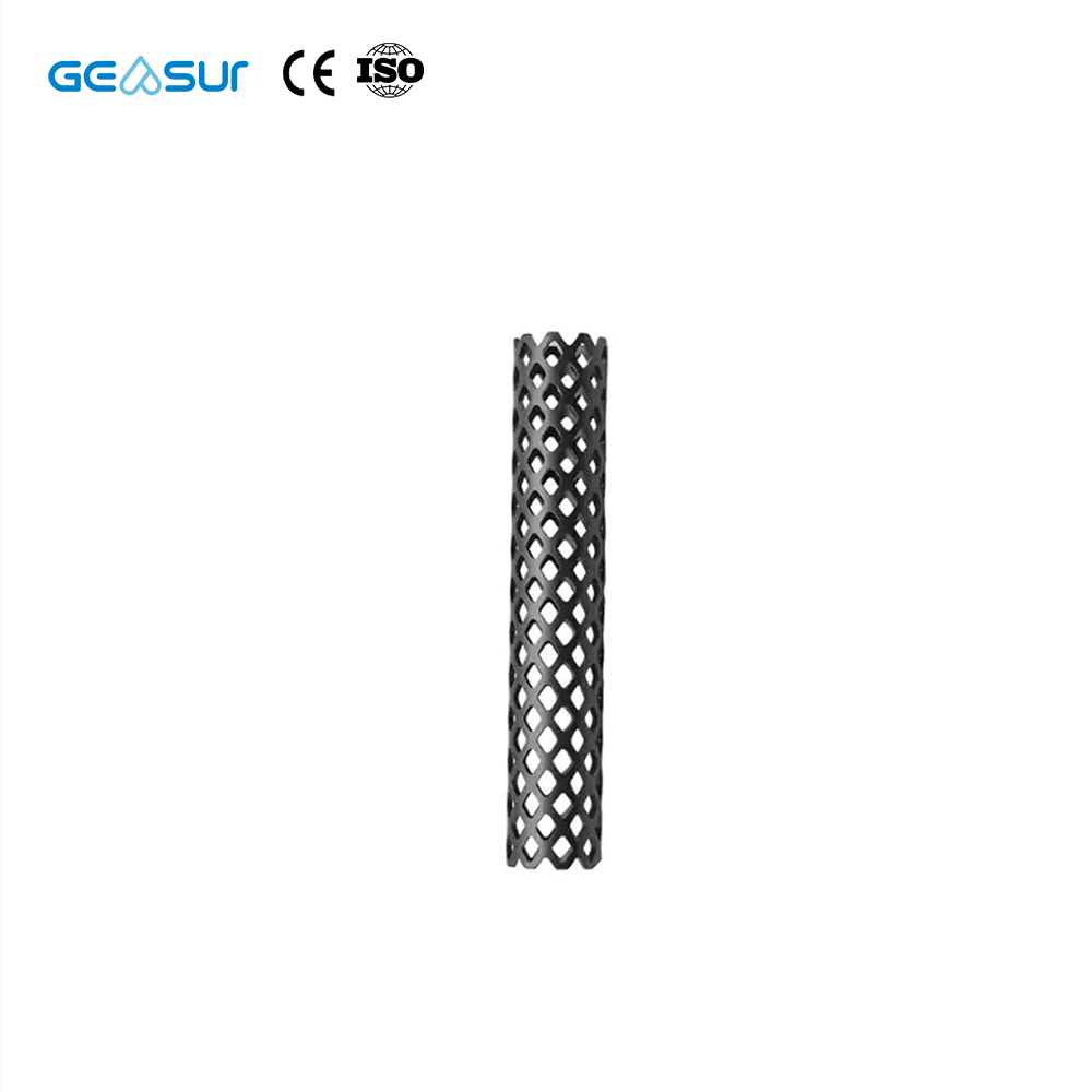 Geasure Jiangsu China Manufacture Class III Medical Spine Titanium Mesh-Orthopedic Implants Fusion Cage 1 Year Warranty