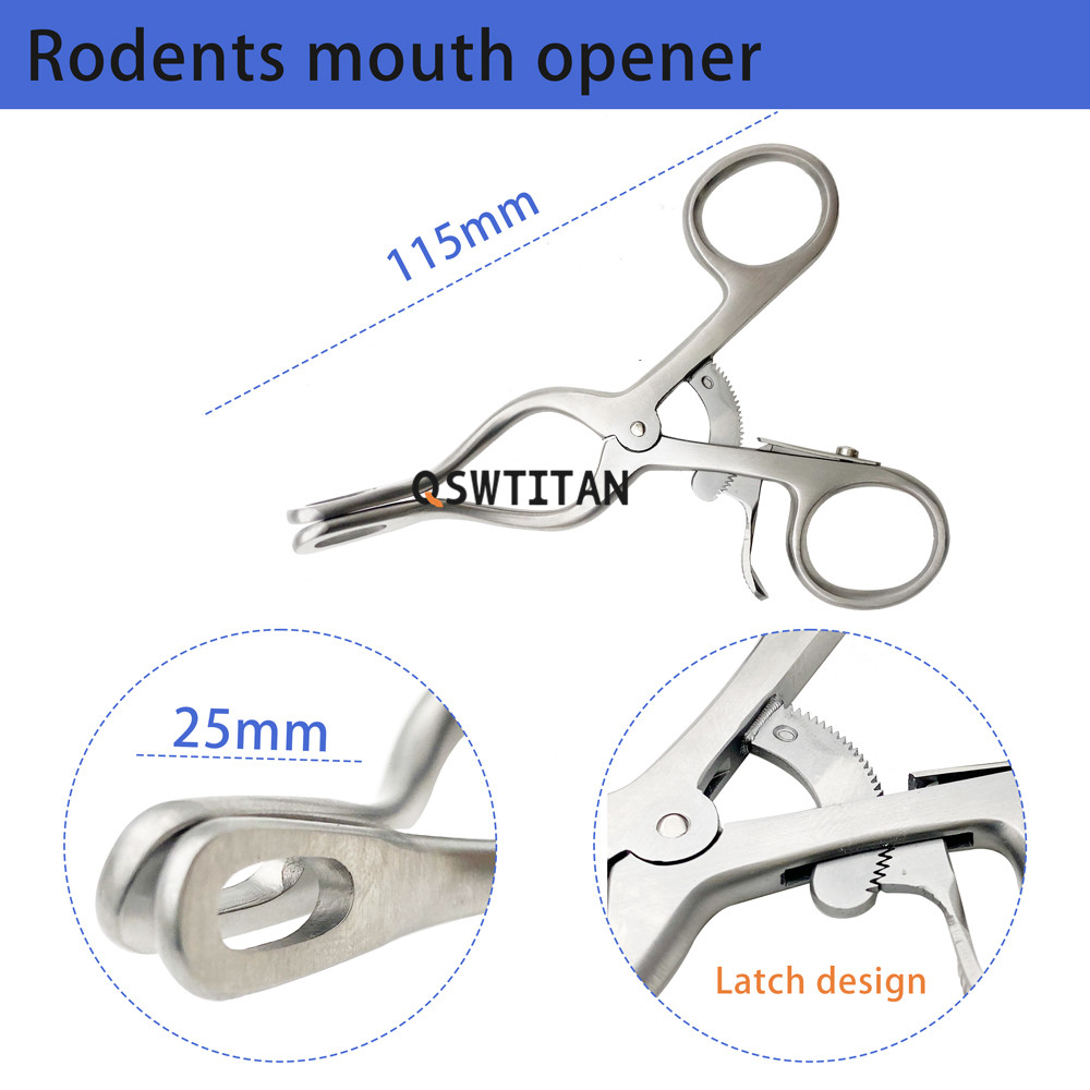 Rodent Pet Mouth Opener Close Up