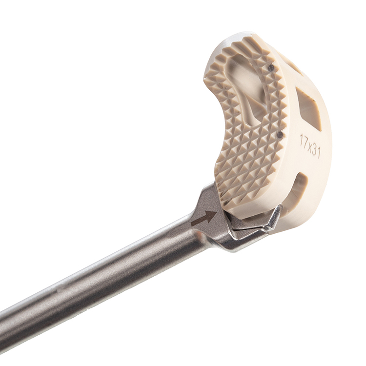 Geasure Orthopedic Surgical Implants Spine System TLIF Cage Titanium Alloy Class III 1 Year Warranty