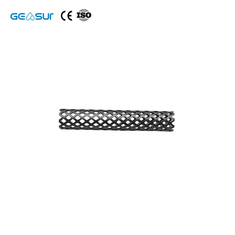 Geasure Jiangsu China Manufacture Class III Medical Spine Titanium Mesh-Orthopedic Implants Fusion Cage 1 Year Warranty