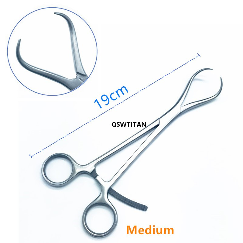 Medium 19cm Model