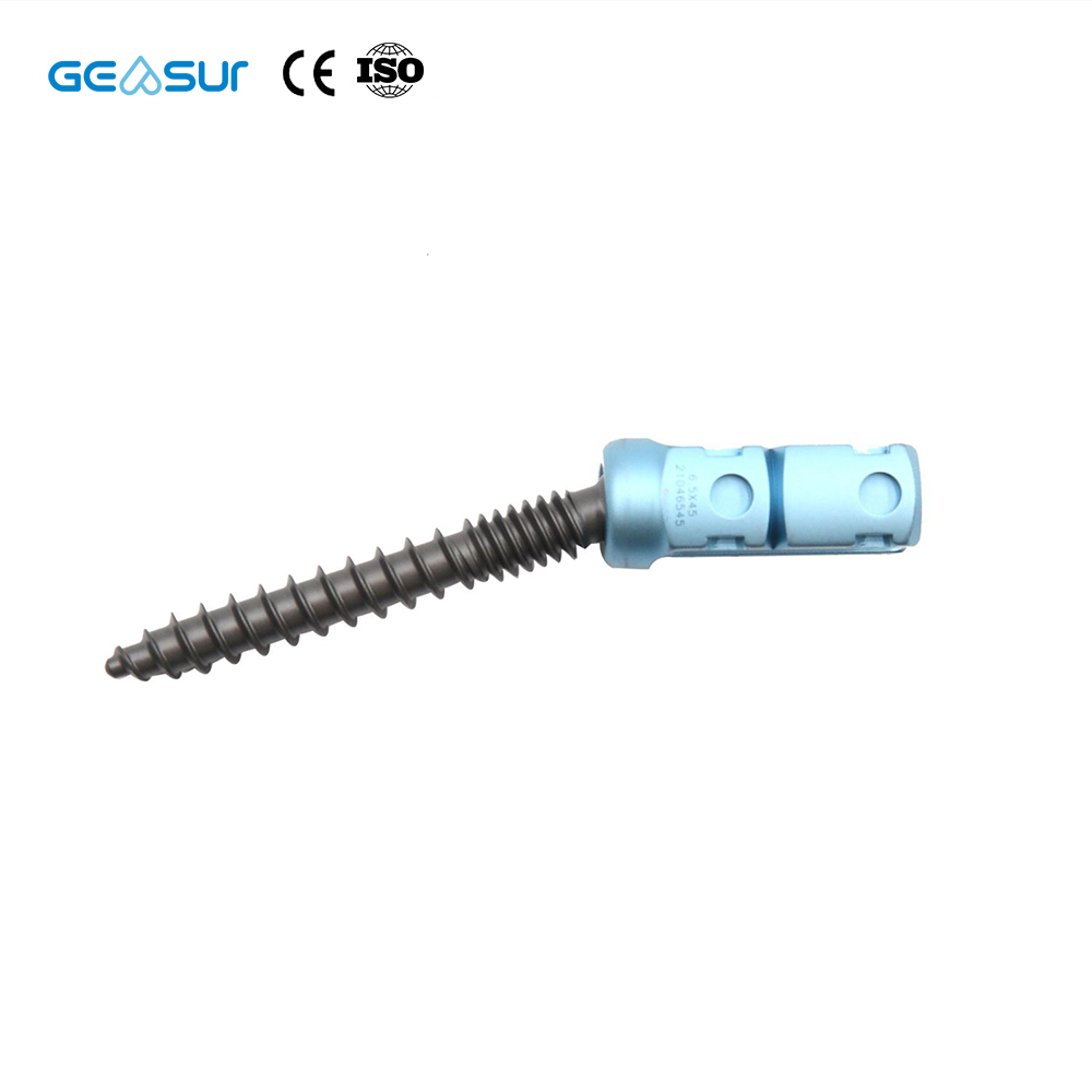 Geasure Straight Spine Titanium Rod-Pedicle Posterior Spinal Internal Fixation 5.5 System Spine Screw Class III Orthopedic