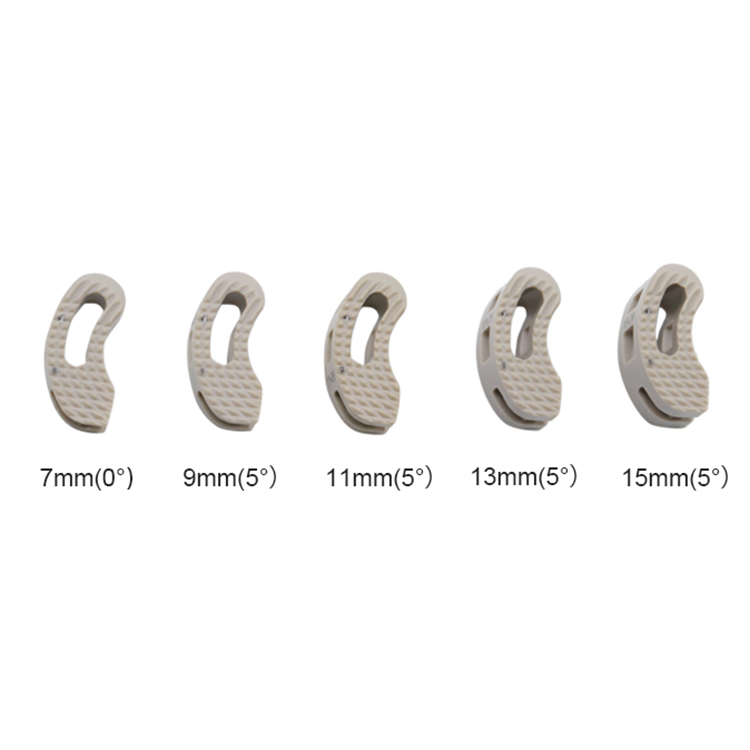 Geasure Orthopedic Surgical Implants Spine System TLIF Cage Titanium Alloy Class III 1 Year Warranty