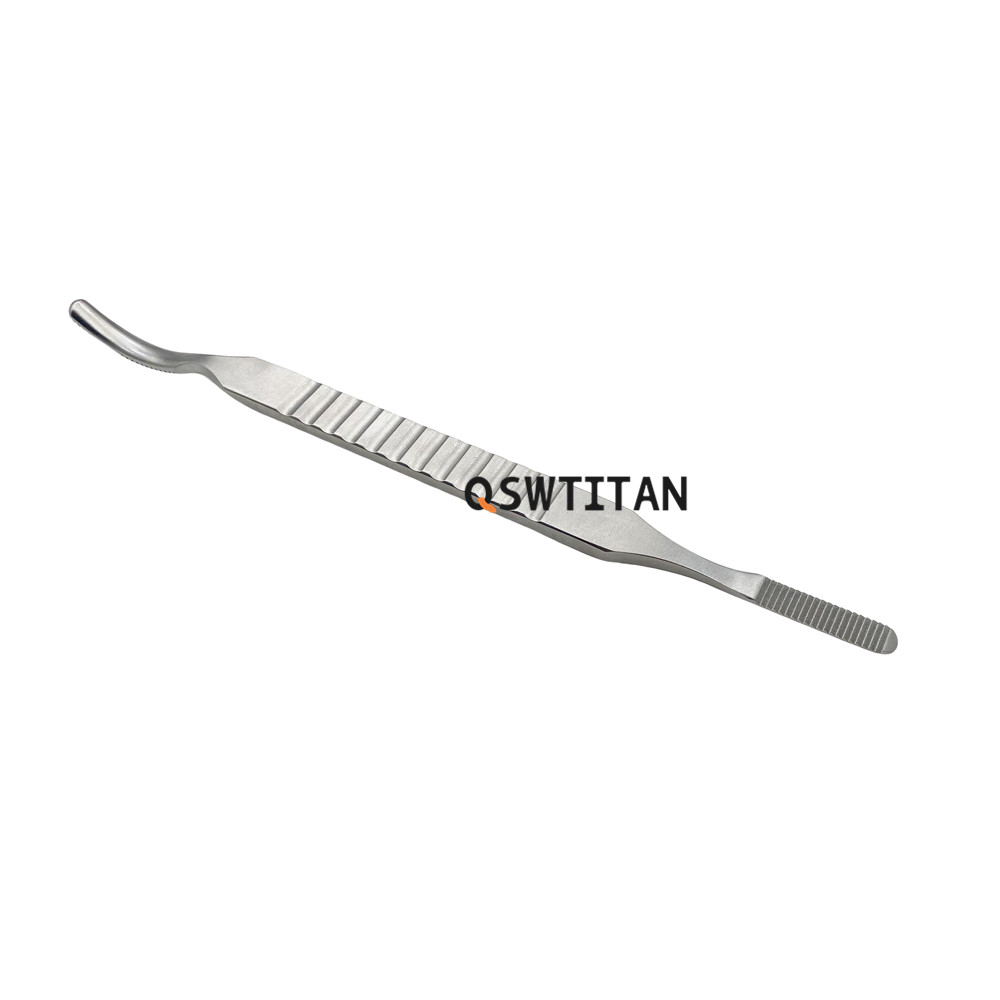Bone File Trochlea Rasp Bone Joint Operation Bone File Stainless Steel Orthopedic Veterinary Instrument Pet