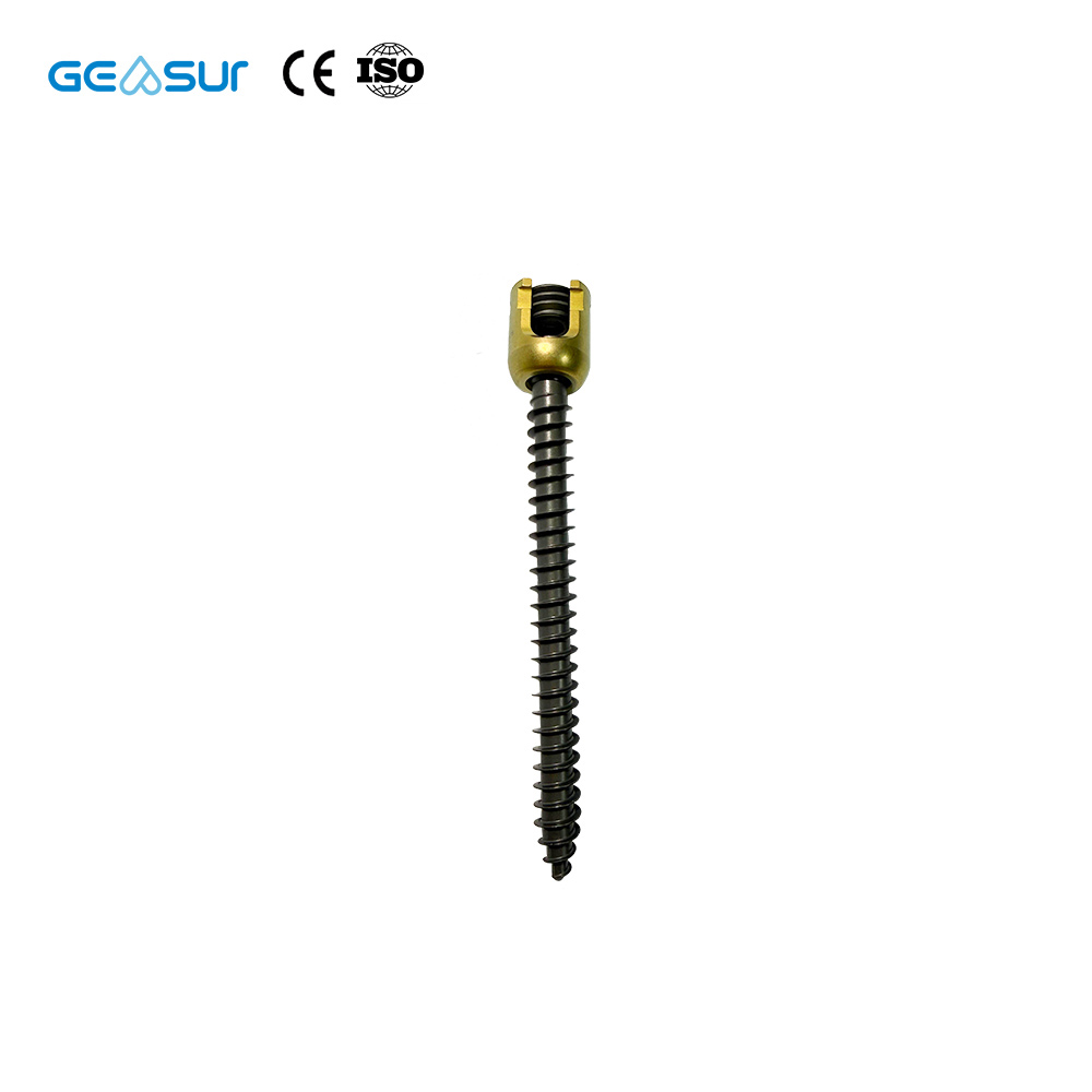 Geasure Titanium Alloy Straight Rod Spinal Pedicle Screw Implant Set Class III Orthopedic Interventional Materials Size 6.0 1
