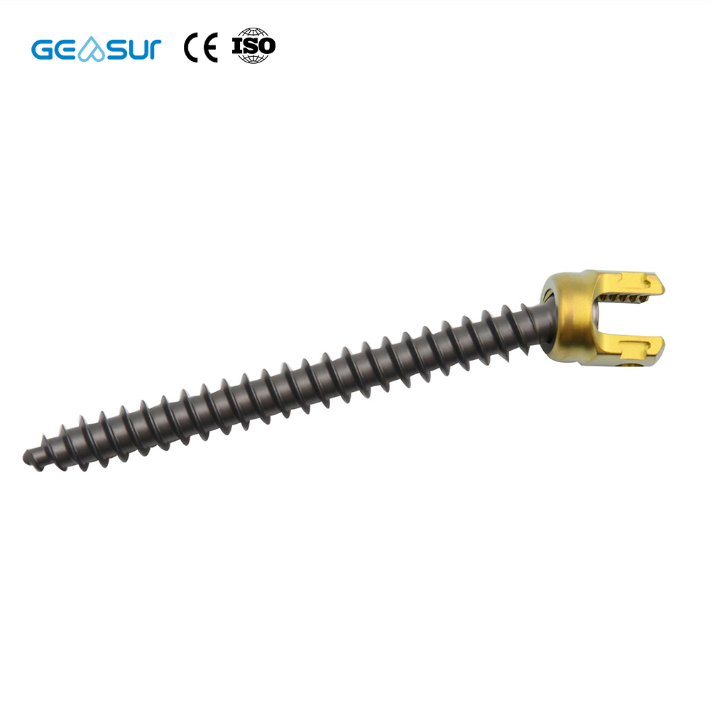 Geasure Straight Spine Titanium Rod-Pedicle Posterior Spinal Internal Fixation 5.5 System Spine Screw Class III Orthopedic