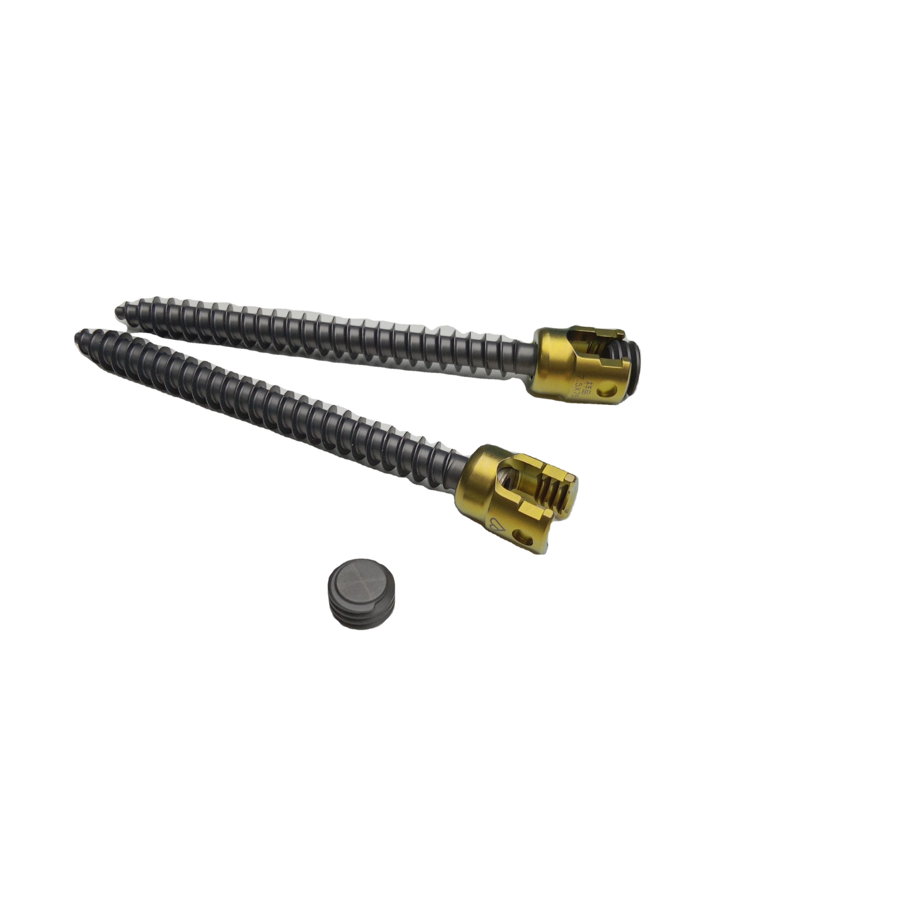 Quality Assured Geasure 5.5 Polyaxial Pedicle Screw System Implants Spinal Screw Biliary Stent Hospital Use Class III Lifetime