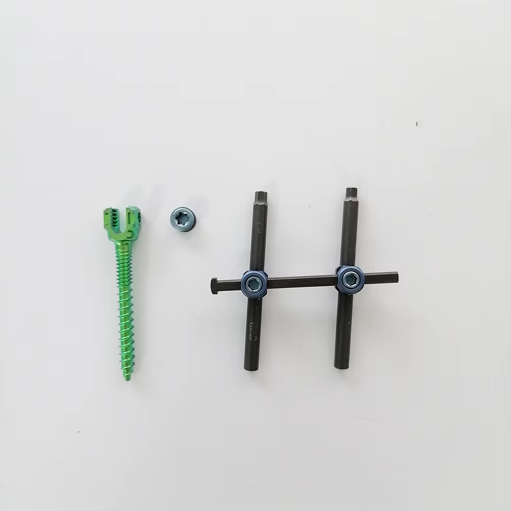 Geasure Orthopedic Titanium Alloy Polyaxial Pedicle Spinal Screw Implants GB1Z-II 5.5mm for Hospital Use