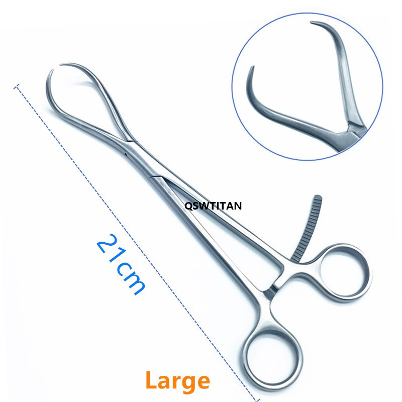 Large 21cm Model