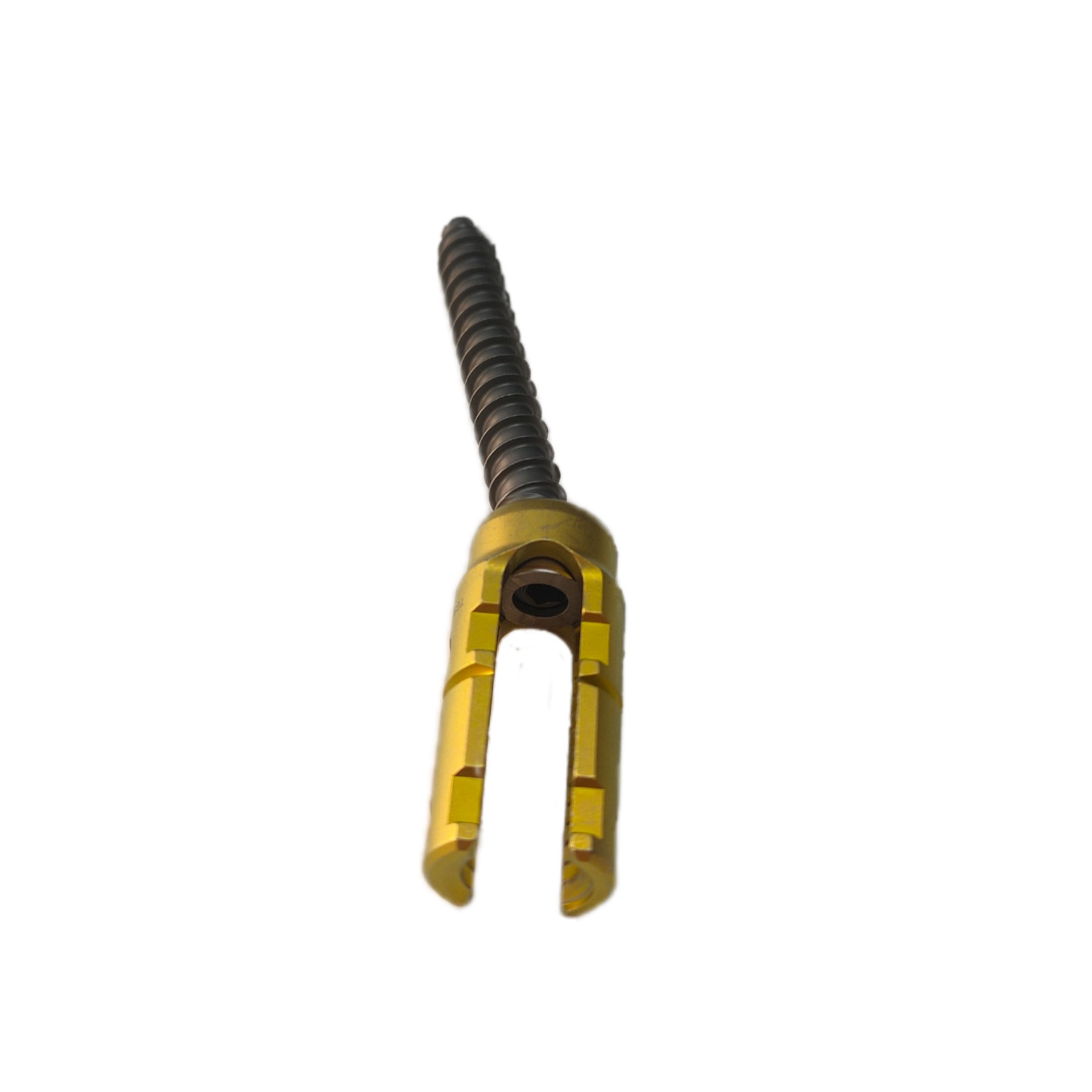 Polyaxial Titanium Pedicle Screws  Spinal Implants & Interventional Materials for Hospital Use Spine Screw