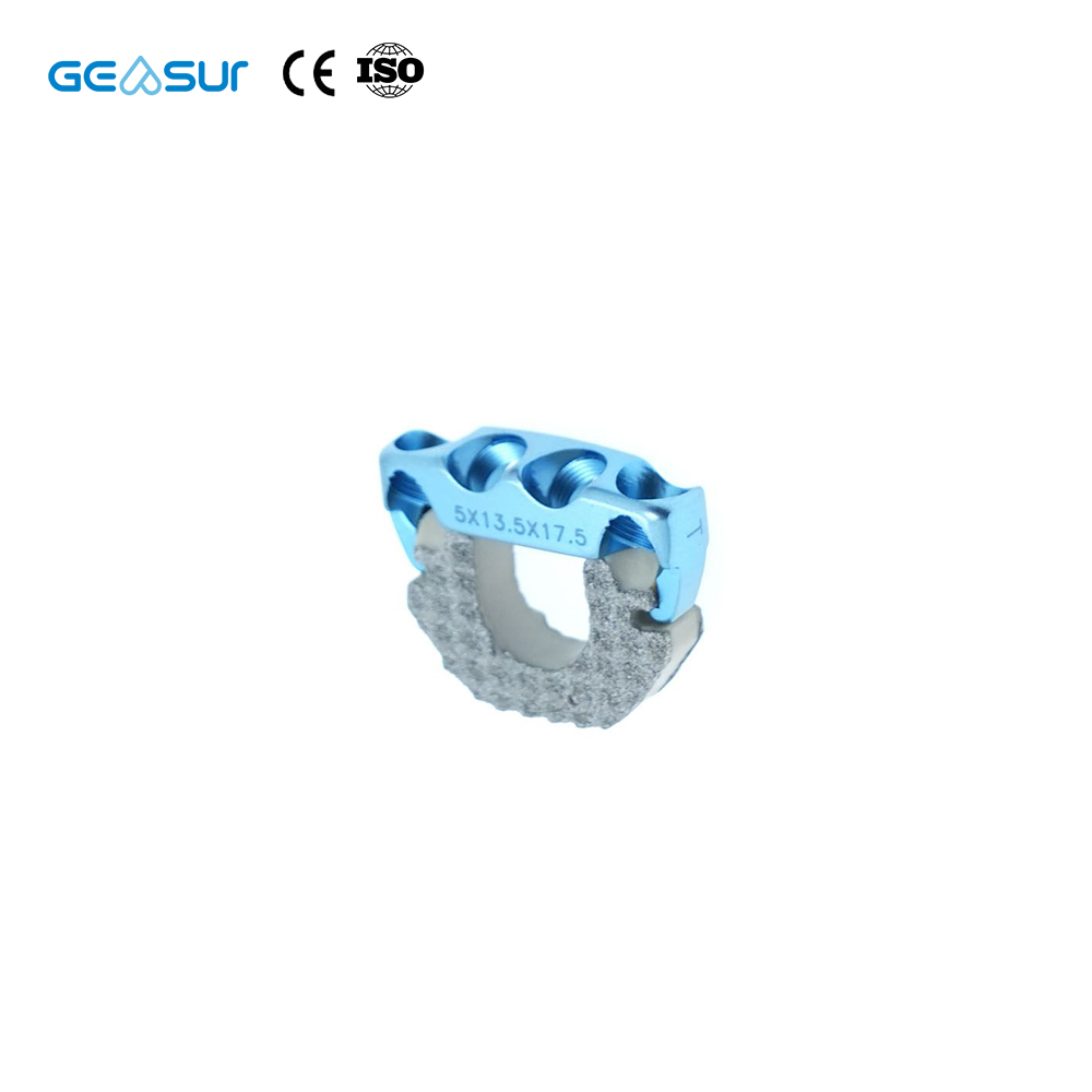 Geasure Zero-Profile Anterior Cervical Interbody Fusion PEEK Cage with Screw - Orthopedic Implant