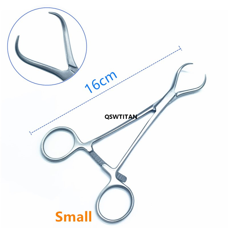 Small 16cm Model