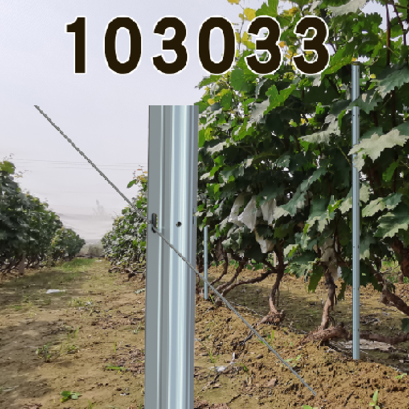 Vineyard Post