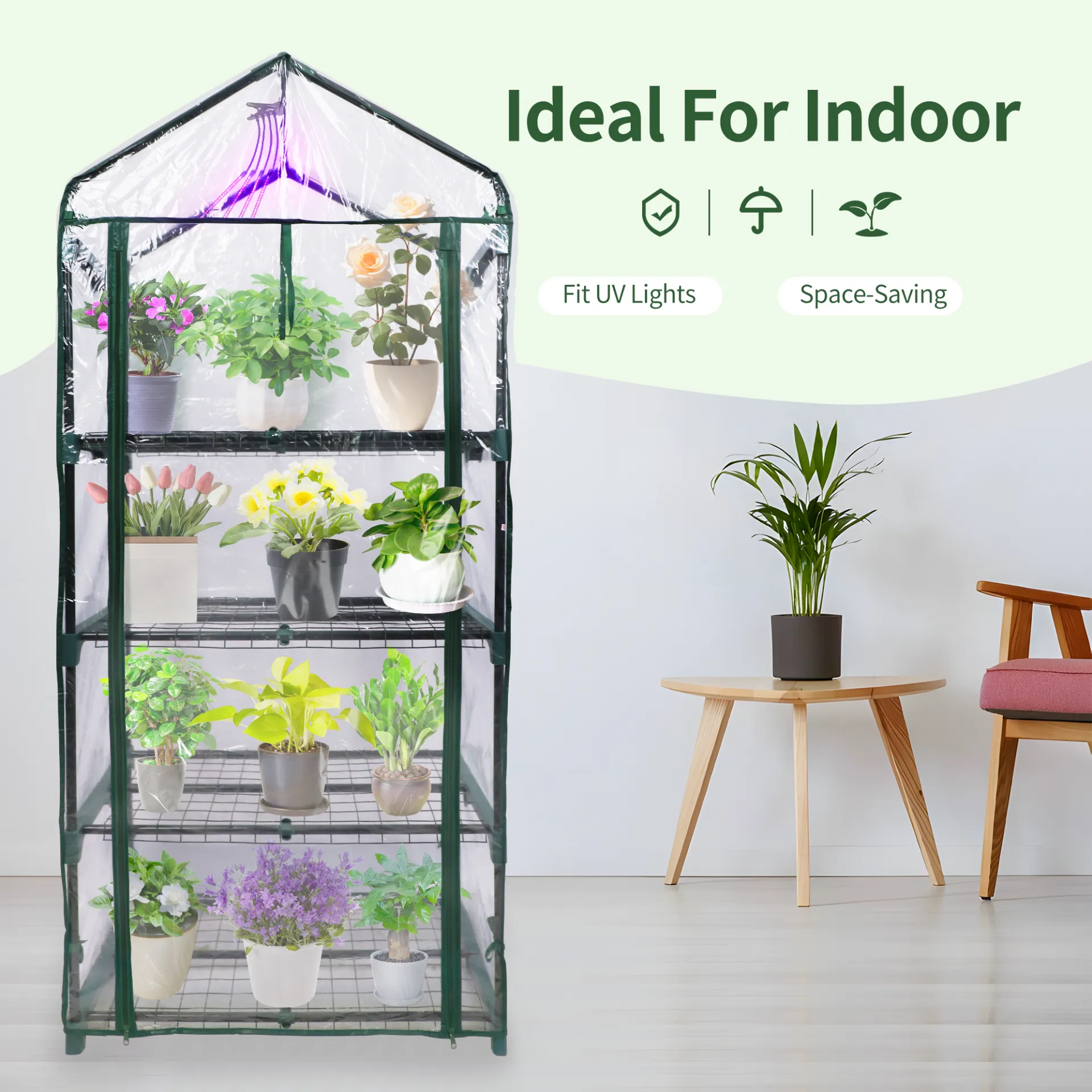 Mini Greenhouse with PVC Cover