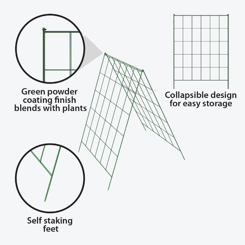 tomato trellis structure