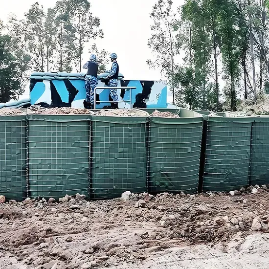 Explosion Proof Cage Structure 3