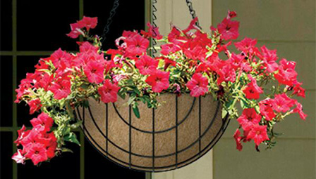 metal hanging flower basket
