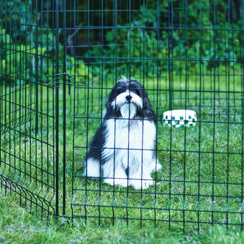 Multi-Purpose Fence