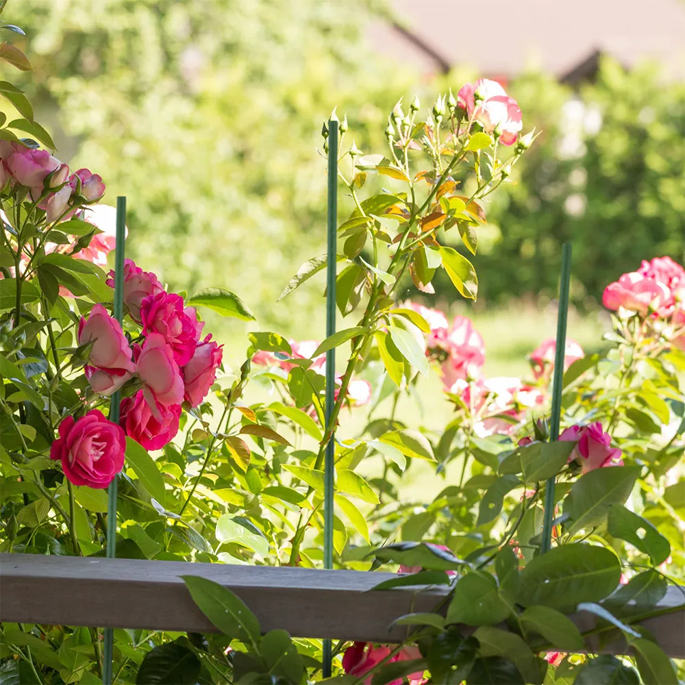 Durable Garden Stake