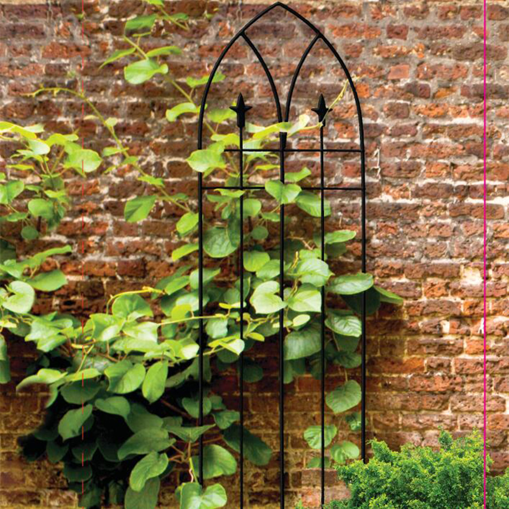 Tomato Trellis