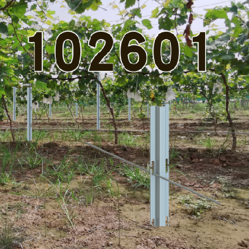 Vineyard Post