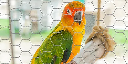 hexagon wire mesh