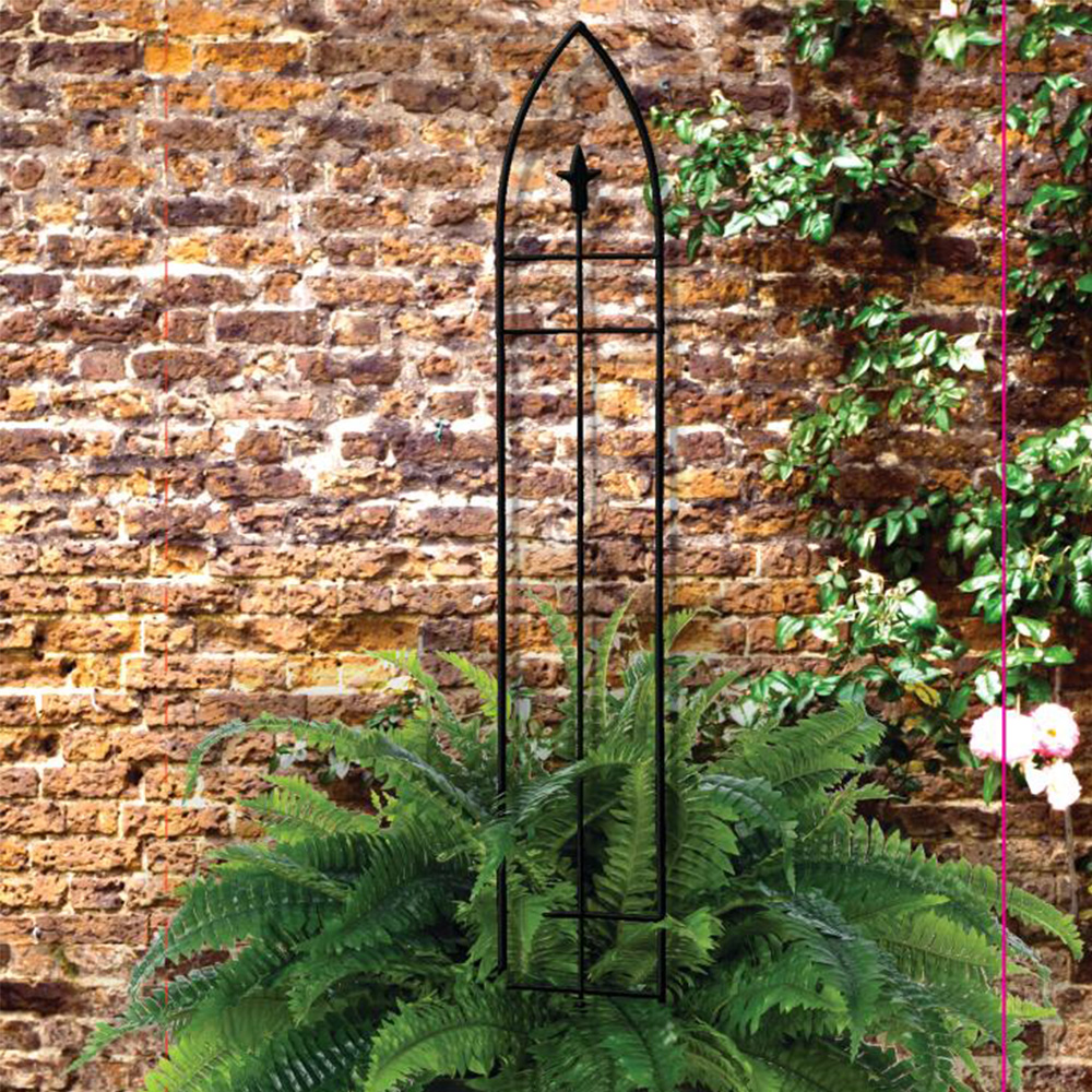 Tomato Trellis