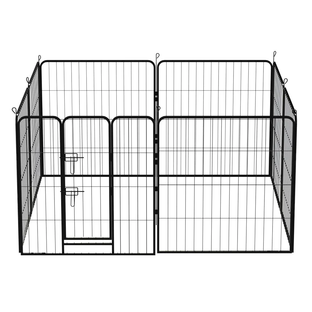 Exercise Pen