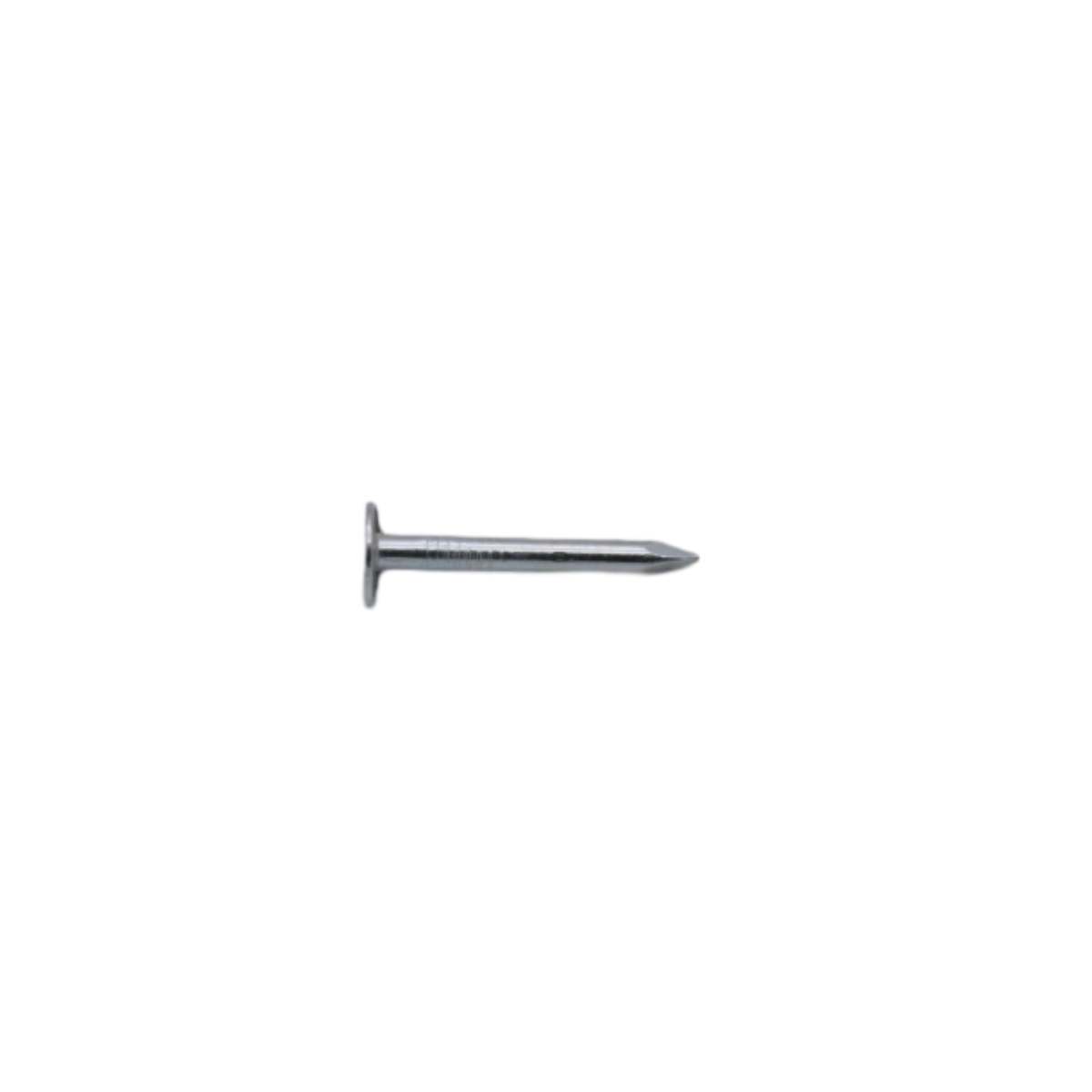 Roofing Nail