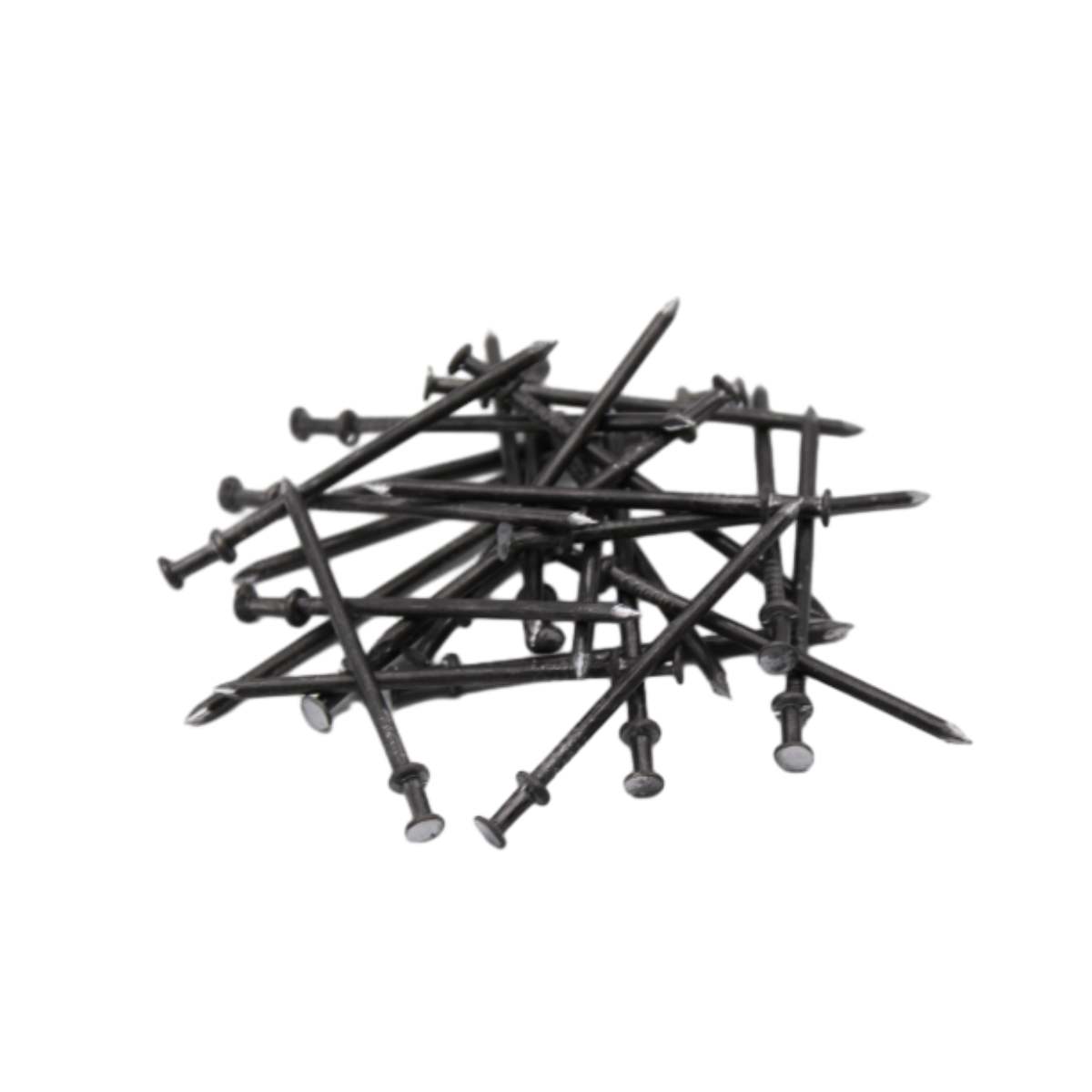 Duplex Nail