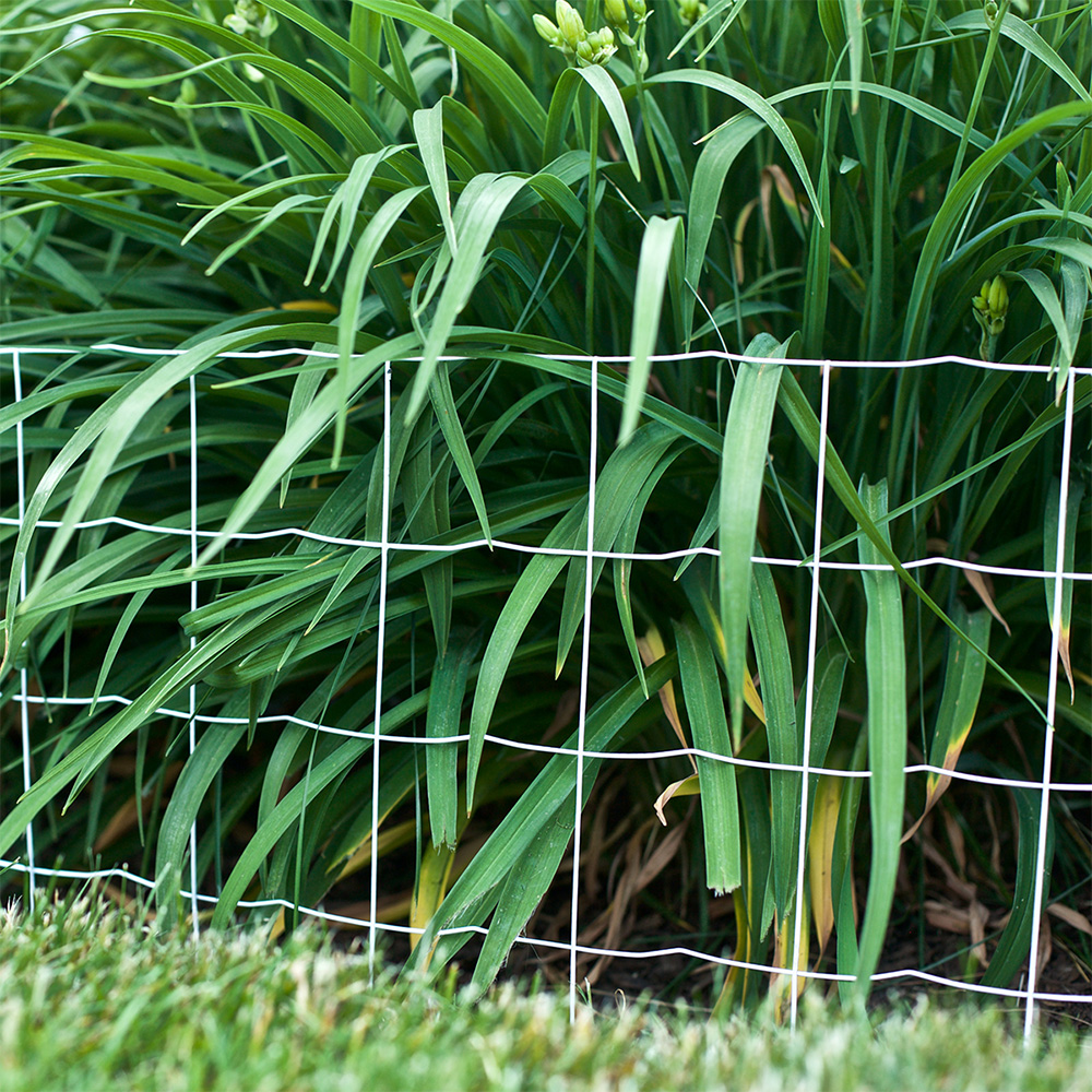 Garden Border Fence
