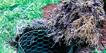 pvc coated hexagonal wire mesh