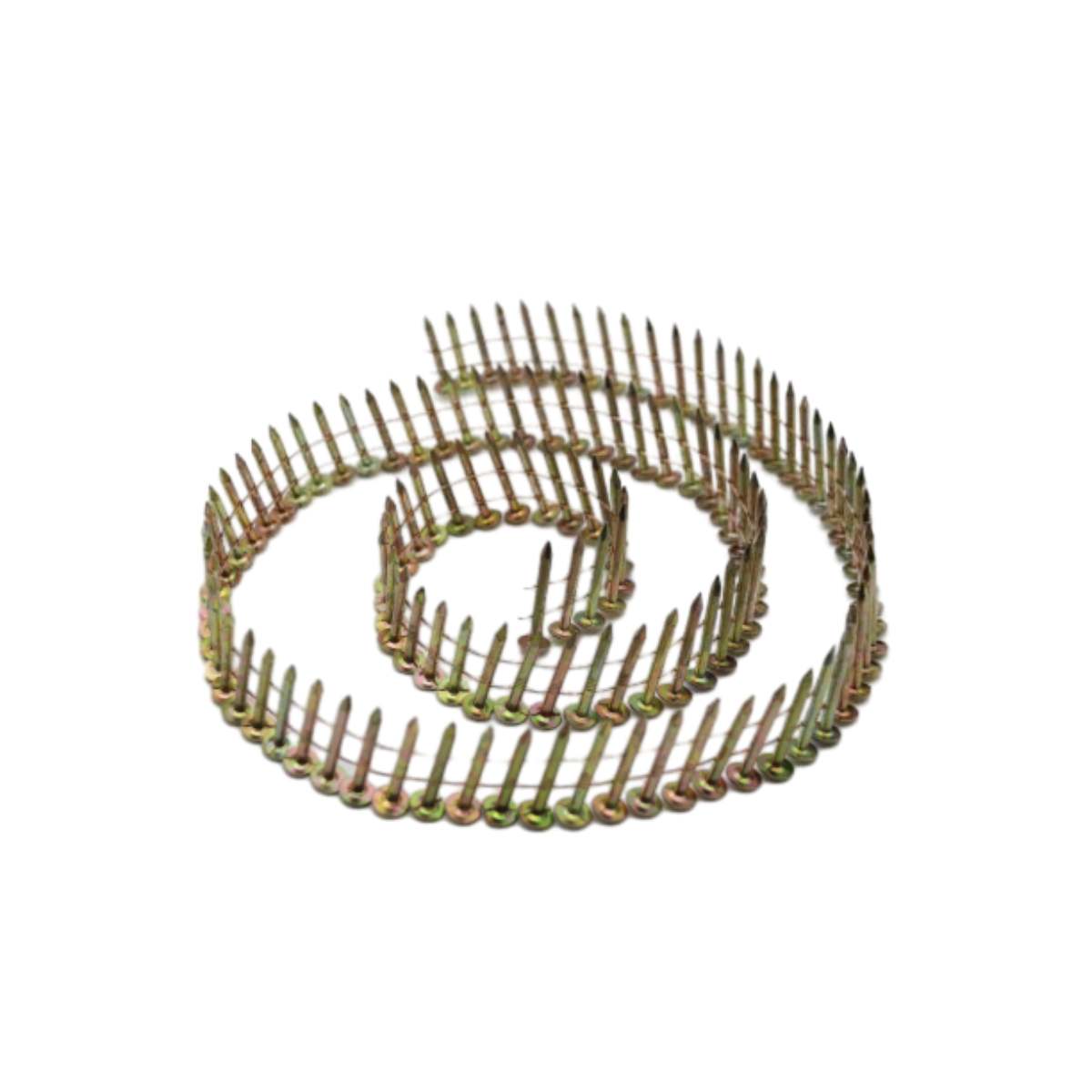 Coil Nail