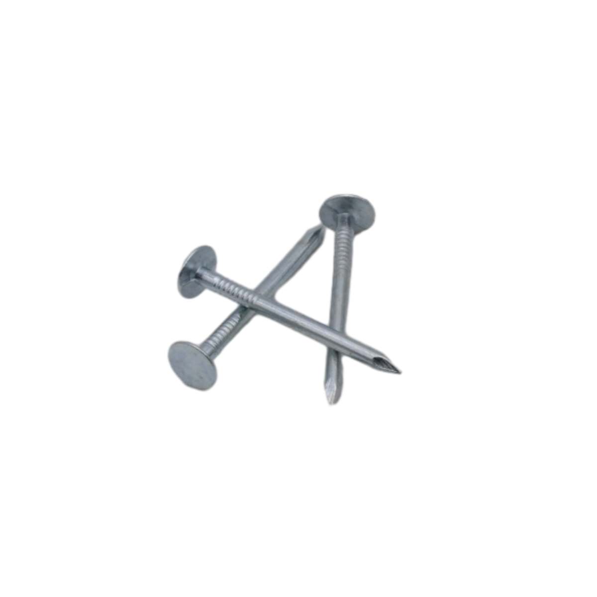 Roofing Nail