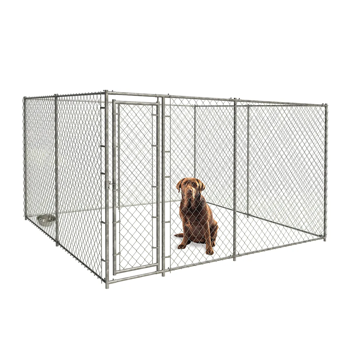 Dog Kennel