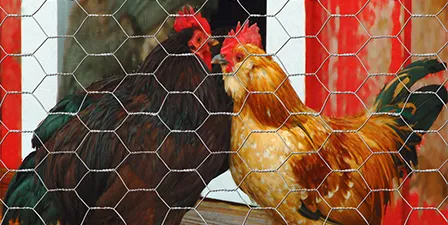 hexagon wire mesh