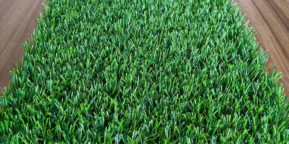 Decorative Grass Series