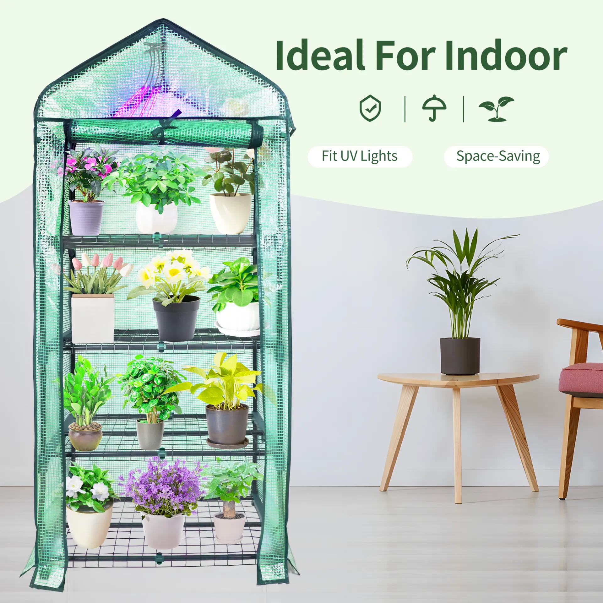 Small Greenhouse with PE Cover