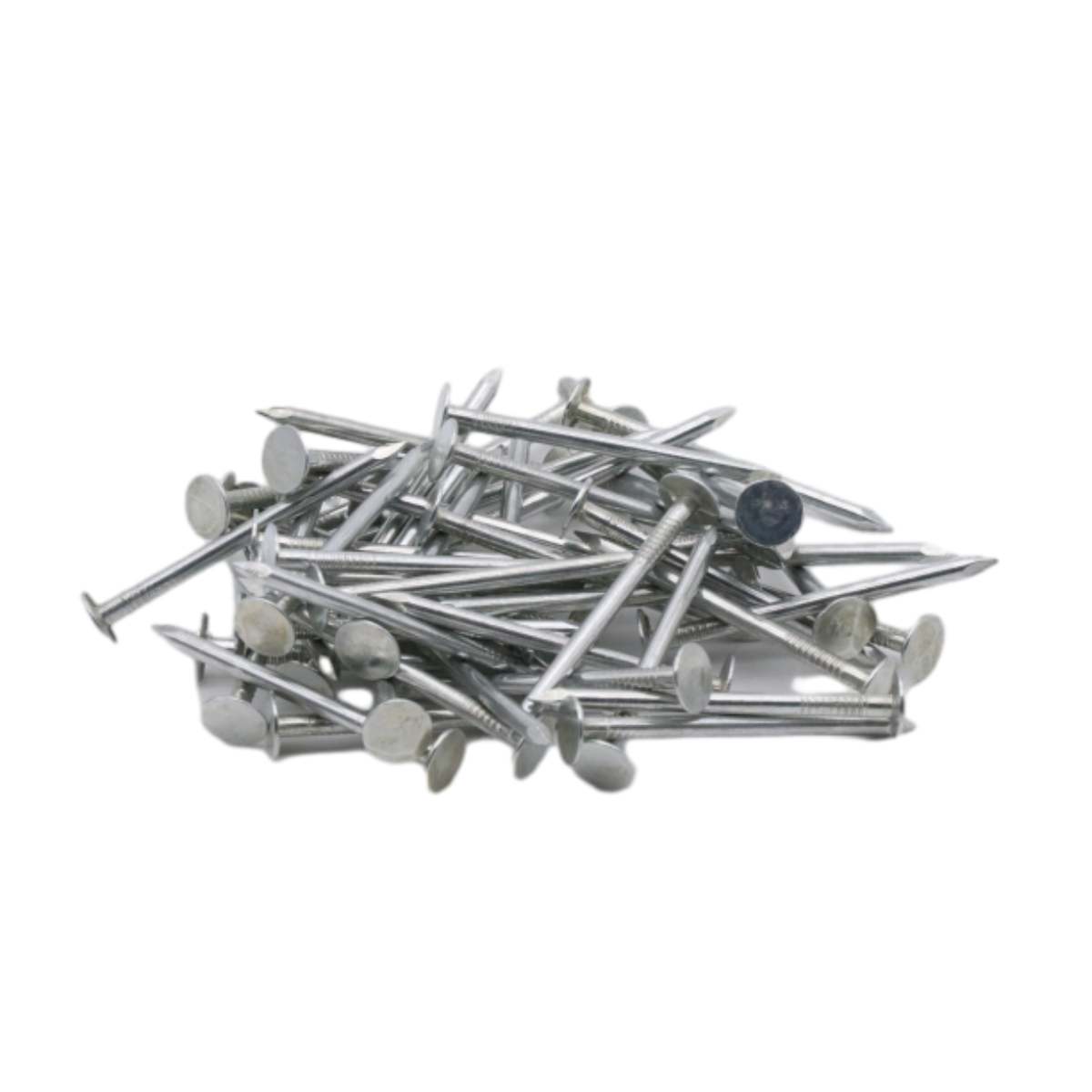 Roofing Nail