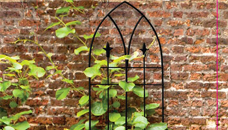 trellis for potted plants