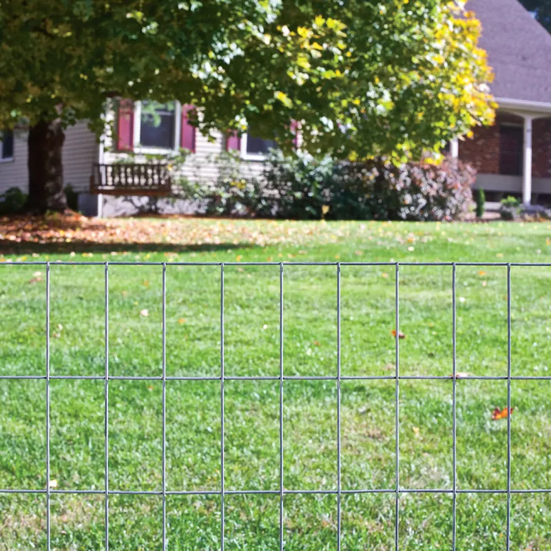durable wire mesh