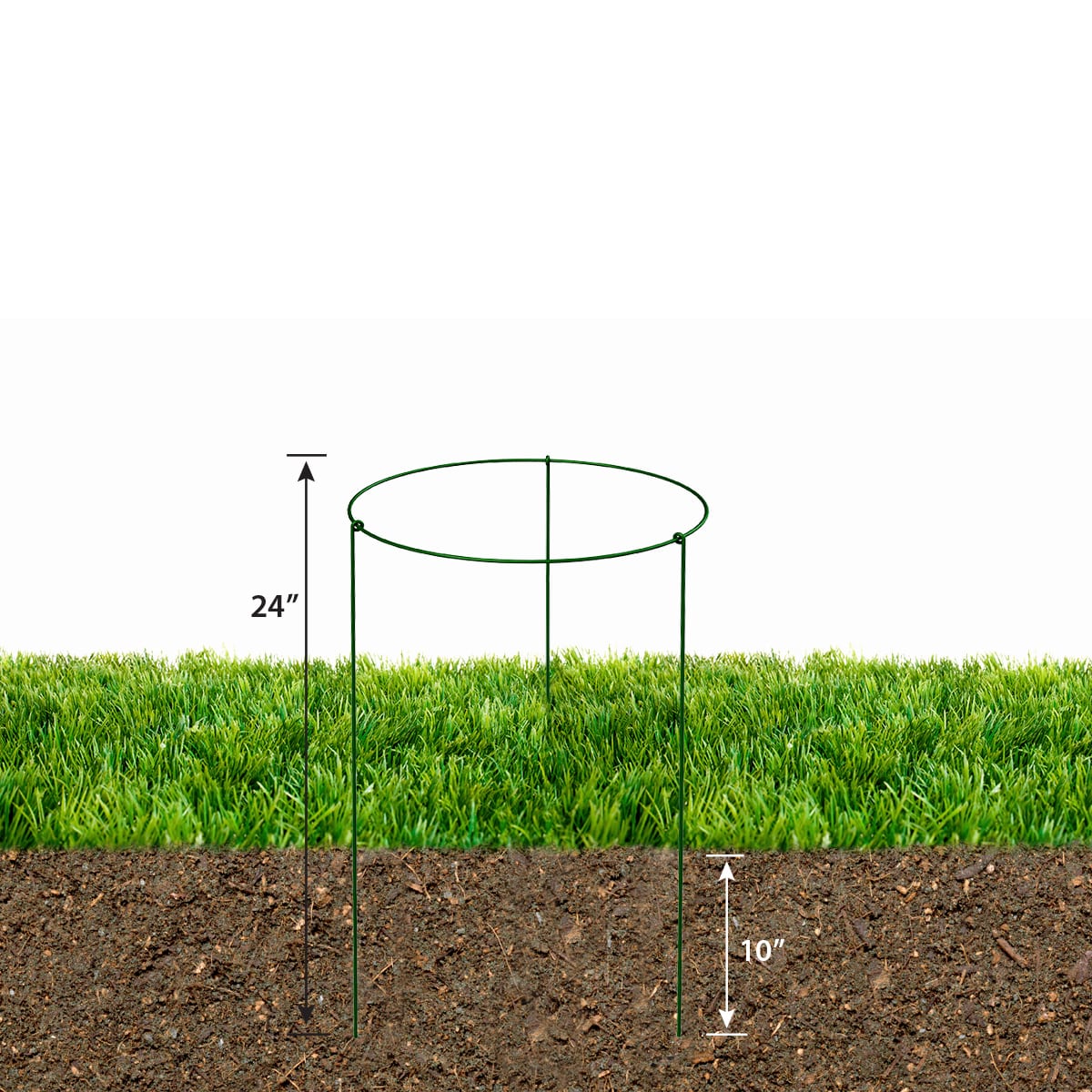 Plant Support