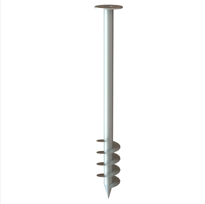 Robert
