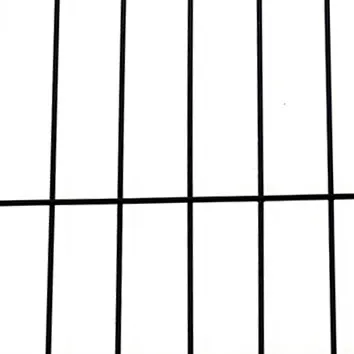 Read More About wire dog crate
