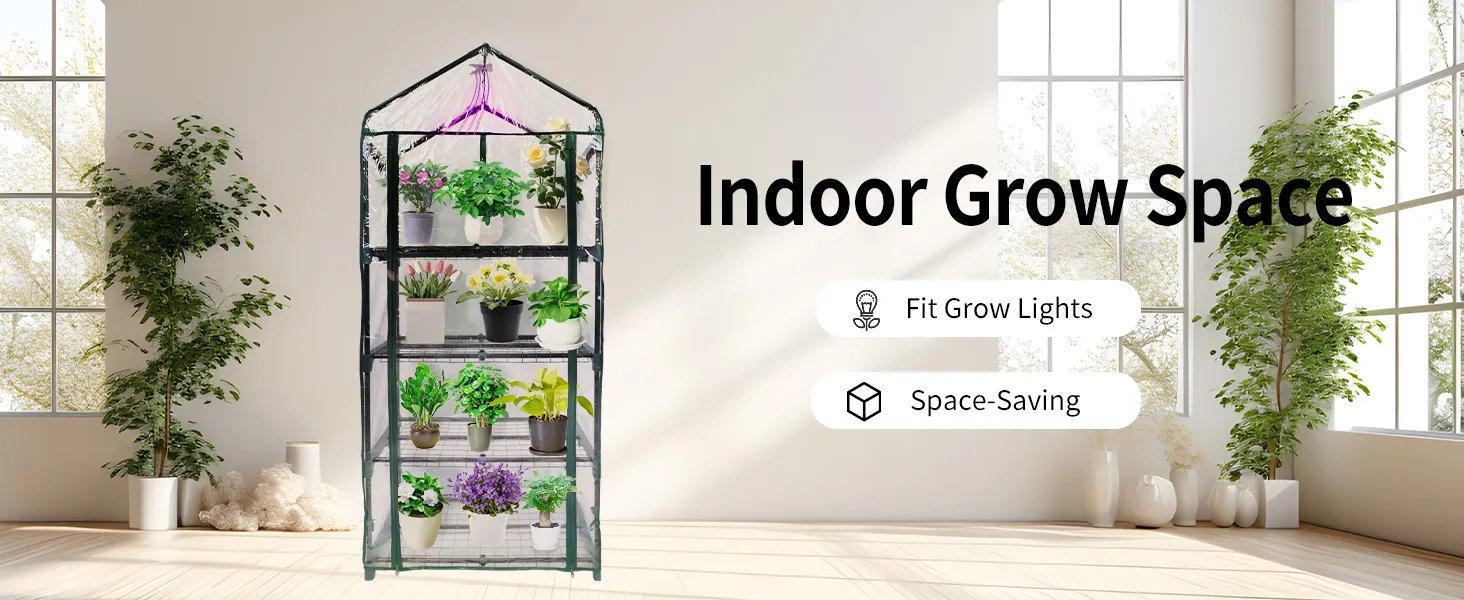 Seedling Growth Environment