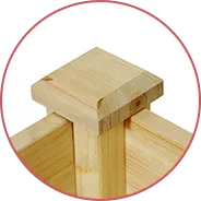 Plank View