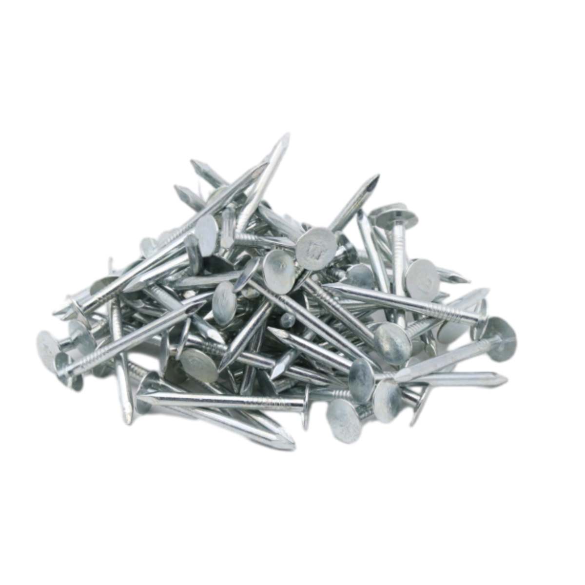 Roofing Nail